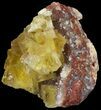 Lustrous, Yellow Cubic Fluorite Crystals - Morocco #44886-1